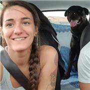 Doy clases de Educación canina basadas en la relación // Cuidador de perros